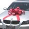 JUM-BOW Magnetic Car Bow {EZ531}