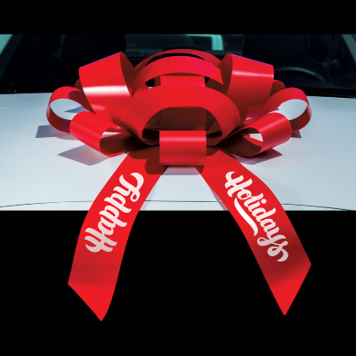 Windshield Car Bow - 34 Inch Bow