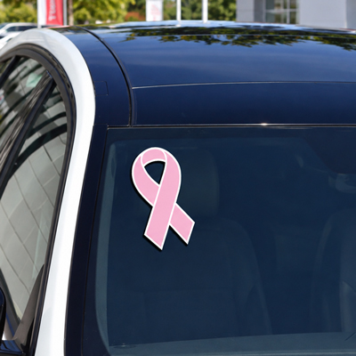 Pink & White Windshield Ribbon {EZ129-PINK}
