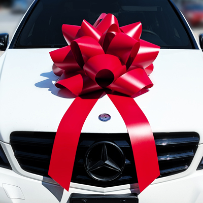 Premium Car Bows