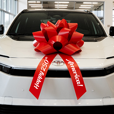 Premium Car Bows
