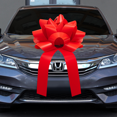 Premium Car Bow {EZ501}