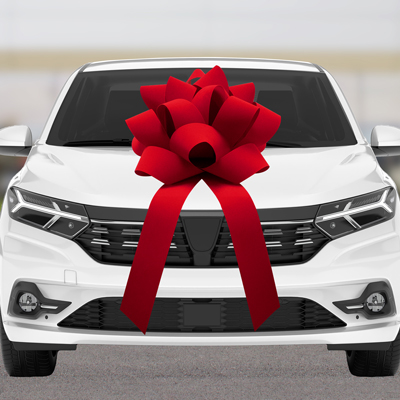Velvet Premium Bow