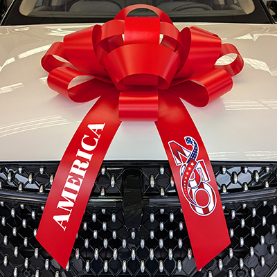 JUM-BOW Magnetic Car Bow {EZ531}
