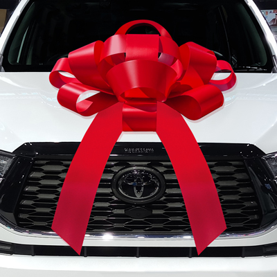 JUM-BOW Magnetic Car Bow {EZ531}