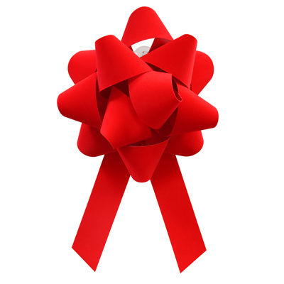 Showroom Velvet Bow