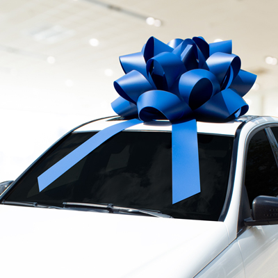 Commercial Bow (EZ599)