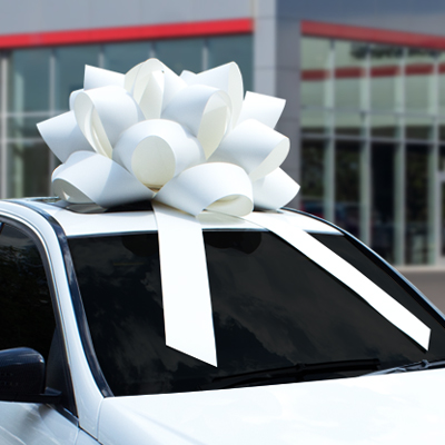 Commercial Bow (EZ599)