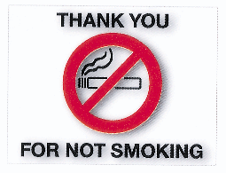 No Smoking Static Cling Sticker {EZ615}